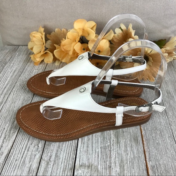 sam edelman carolina